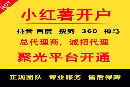 政府机构信息流代理服务的应用与效果展示